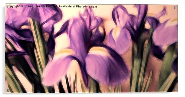 Soft iris Acrylic by Sharon Lisa Clarke