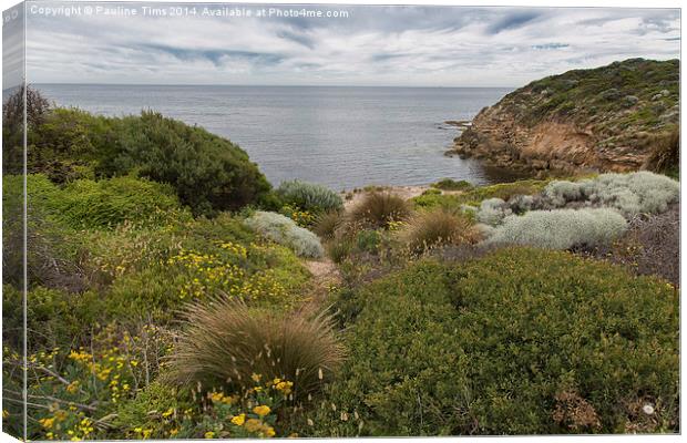 Point Nepean, Victoria , Australia Canvas Print by Pauline Tims