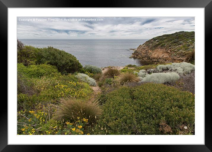 Point Nepean, Victoria , Australia Framed Mounted Print by Pauline Tims
