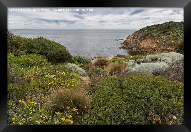 Point Nepean, Victoria , Australia Framed Print by Pauline Tims