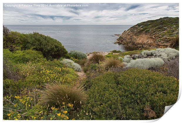 Point Nepean, Victoria , Australia Print by Pauline Tims