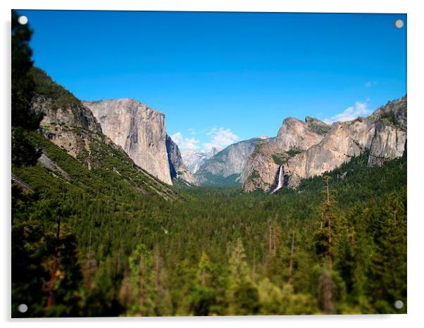 Yosemite National Park Acrylic by Anna-Lisa Drew