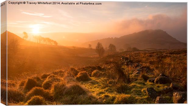 Dawn at the Roaches Canvas Print by Tracey Whitefoot