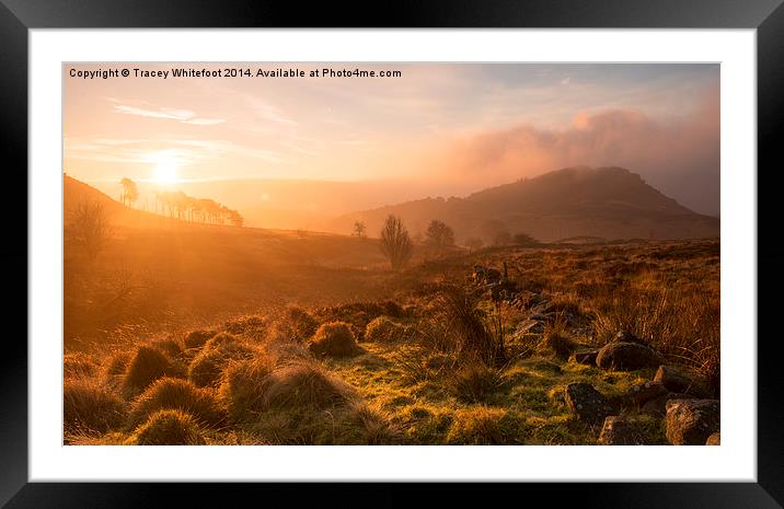 Dawn at the Roaches Framed Mounted Print by Tracey Whitefoot
