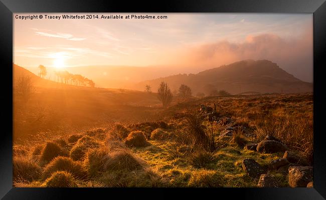 Dawn at the Roaches Framed Print by Tracey Whitefoot