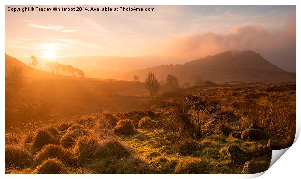 Dawn at the Roaches Print by Tracey Whitefoot