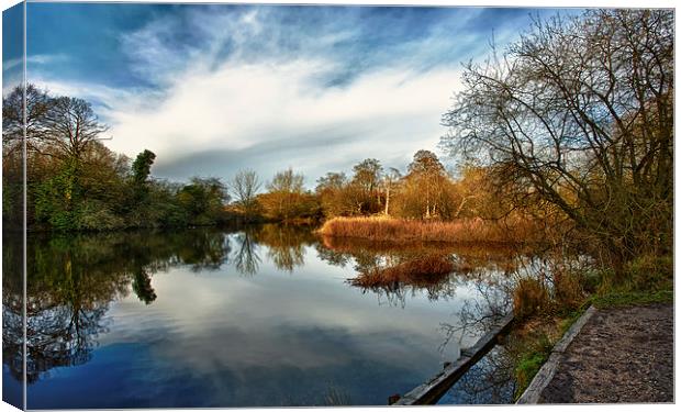 Lower Pool, Park Lime Pits Canvas Print by Steve Wilcox