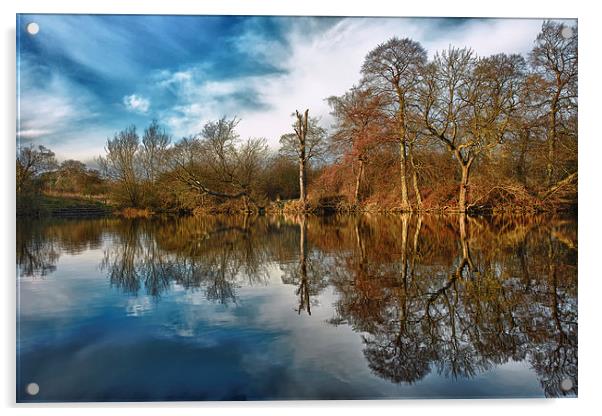 Park Lime Pits Reflections.... Acrylic by Steve Wilcox