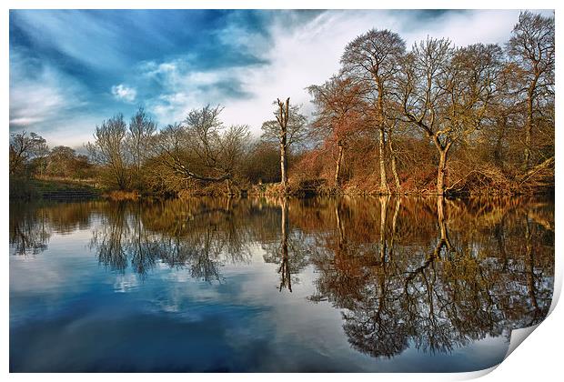 Park Lime Pits Reflections.... Print by Steve Wilcox
