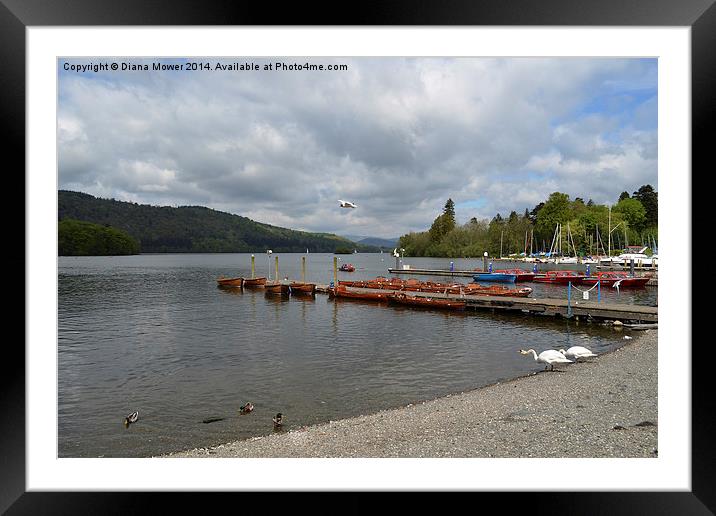 Lake Windermere Jetty Cumbria Framed Mounted Print by Diana Mower