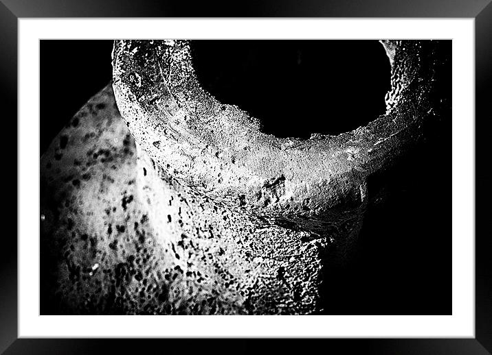 Amphora in Black and White Framed Mounted Print by Mary Lane