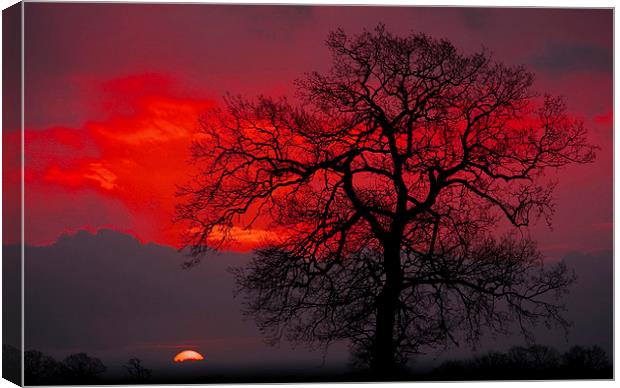 Sunrise Canvas Print by Darren Burroughs