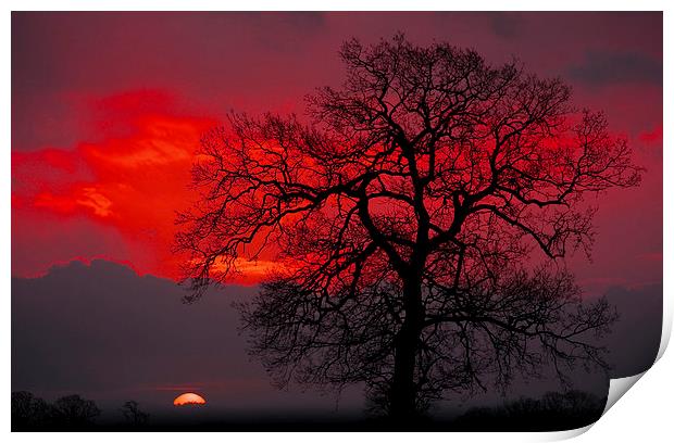 Sunrise Print by Darren Burroughs