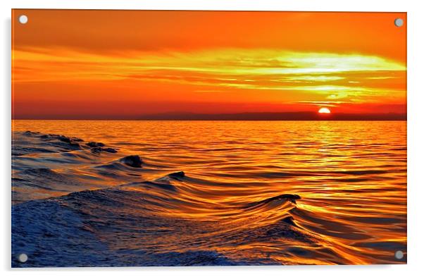 Wave to the Sun Acrylic by Debra Farrey