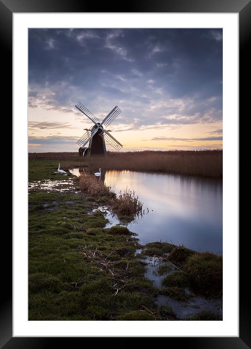 Swans at Herringfleet Windpump Framed Mounted Print by Matthew Dartford