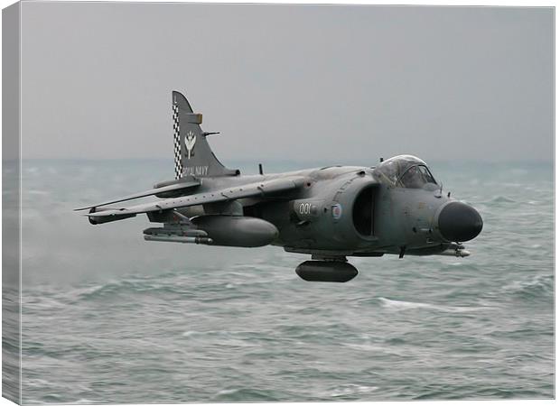 Sea Harrier - low and fast! Canvas Print by Keith Campbell