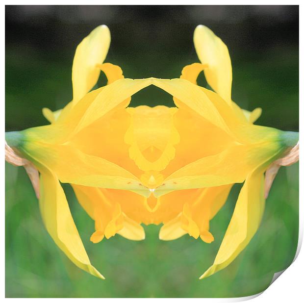Yellow flower abstract Print by Ruth Hallam