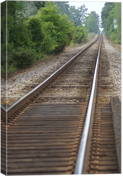 Tracks Canvas Print by Stacey Cook