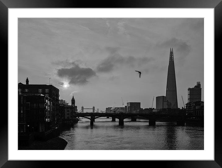 The Shard & The Bird Framed Mounted Print by peter tachauer