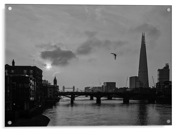 The Shard & The Bird Acrylic by peter tachauer