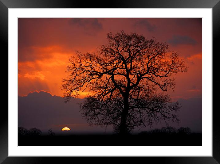 Morning Light Framed Mounted Print by Darren Burroughs