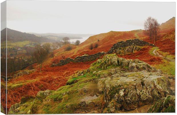 Loughrigg view Canvas Print by eric carpenter