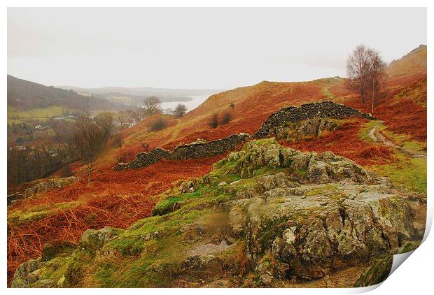 Loughrigg view Print by eric carpenter