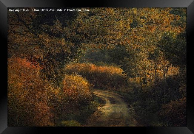 Plumstead Road 4 Framed Print by Julie Coe