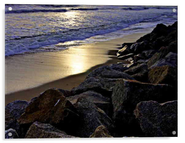Rocky shoreline Acrylic by Karl Butler