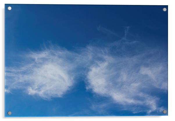 Summer Clouds Acrylic by David Pyatt