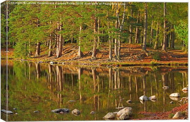 Pine forest and still waters of Loch An Eilein Canvas Print by Louise Heusinkveld