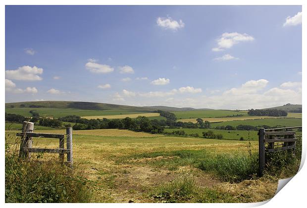 Scottish Countryside in the Summer Print by Nicola Topping