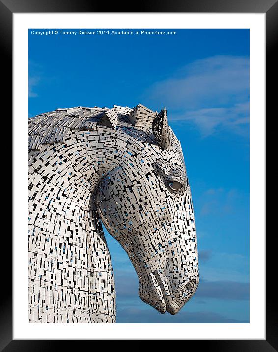Lone Kelpie Framed Mounted Print by Tommy Dickson
