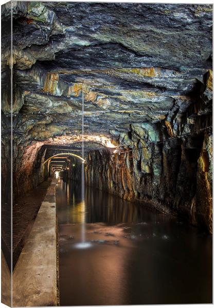 The Enchanting Falkirk Tunnel Canvas Print by Tommy Dickson