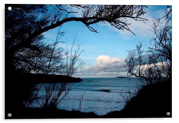 Natural Window - Harlyn Bay - Cornwall Acrylic by Samantha Higgs