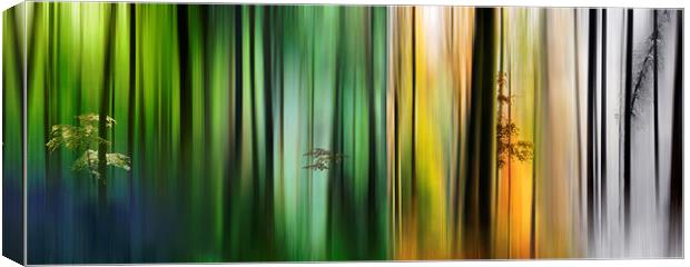 Colours of the Forest Canvas Print by Ceri Jones