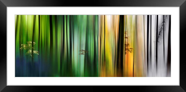 Colours of the Forest Framed Mounted Print by Ceri Jones