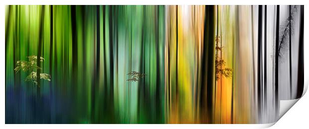 Colours of the Forest Print by Ceri Jones
