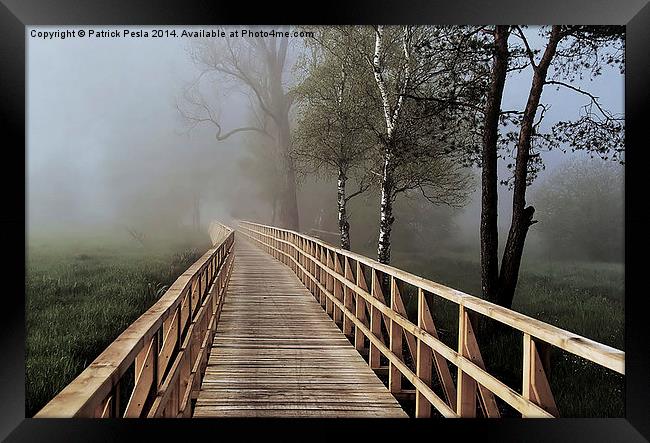 Into the Mist Framed Print by Patrick Pesla