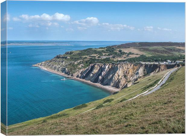 View of Alum Bay Canvas Print by Diane Griffiths