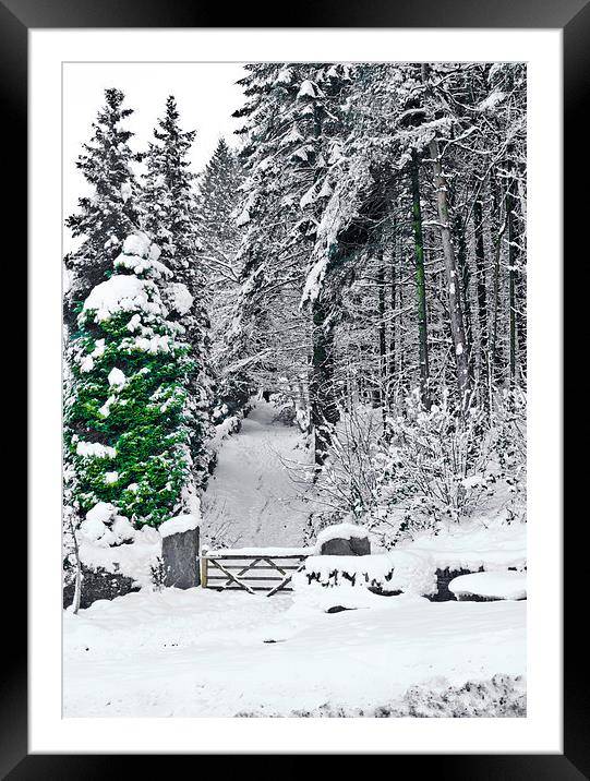 Gateway through the snow Framed Mounted Print by Hazel Powell