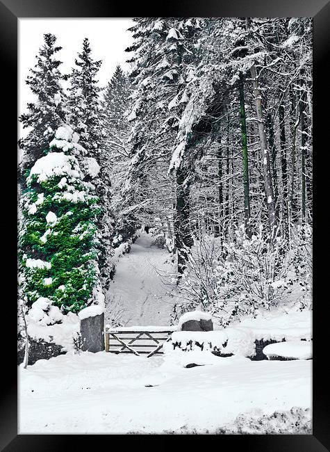 Gateway through the snow Framed Print by Hazel Powell