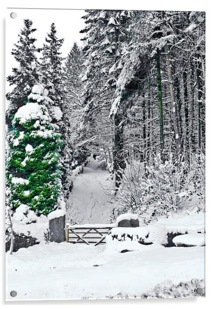 Gateway through the snow Acrylic by Hazel Powell