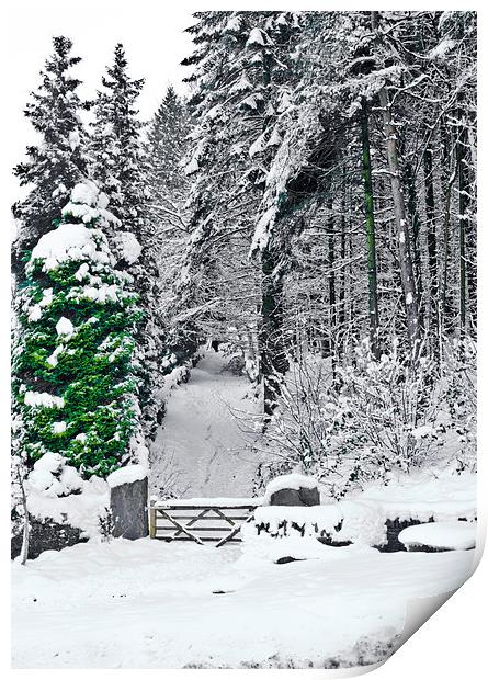 Gateway through the snow Print by Hazel Powell