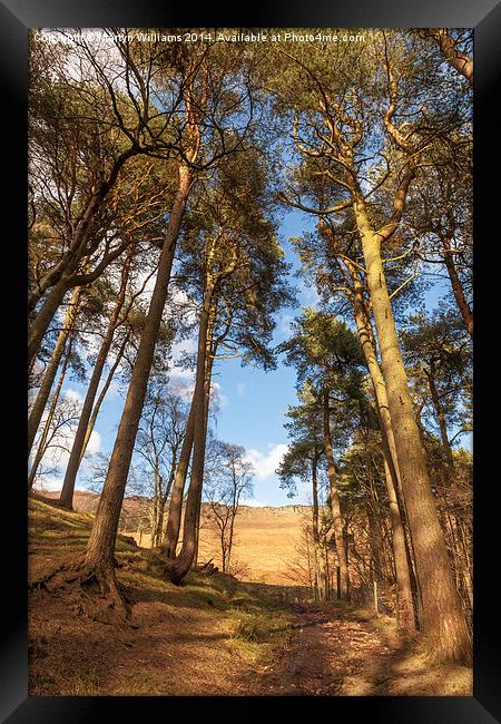 Woodland Path to Stanage Edge Framed Print by Martyn Williams