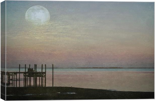 Romancing the Moon Canvas Print by Judy Hall-Folde