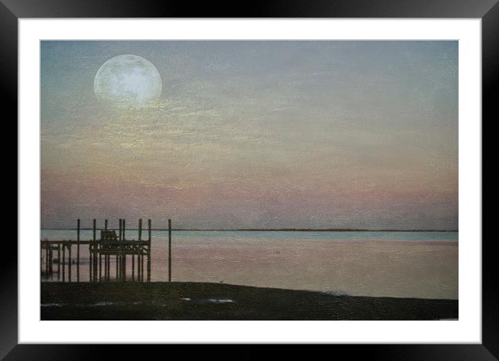 Romancing the Moon Framed Mounted Print by Judy Hall-Folde