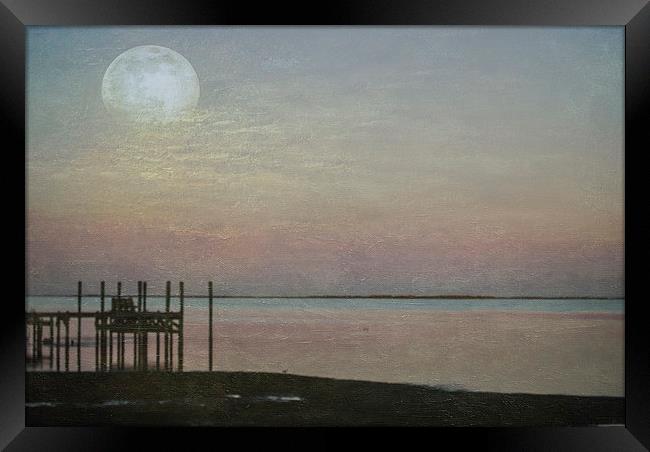 Romancing the Moon Framed Print by Judy Hall-Folde