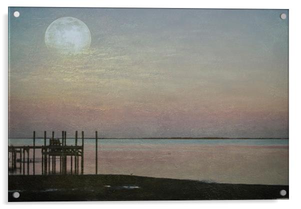 Romancing the Moon Acrylic by Judy Hall-Folde