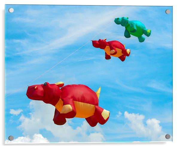 Kites Acrylic by Victor Burnside
